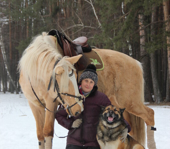 Городская Воскресенская конюшня