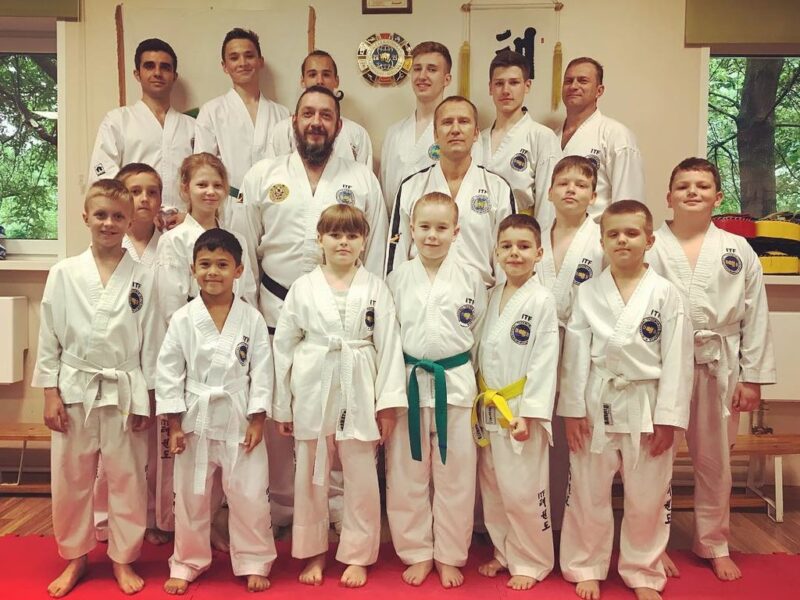 Федерация тхэквондо Юг