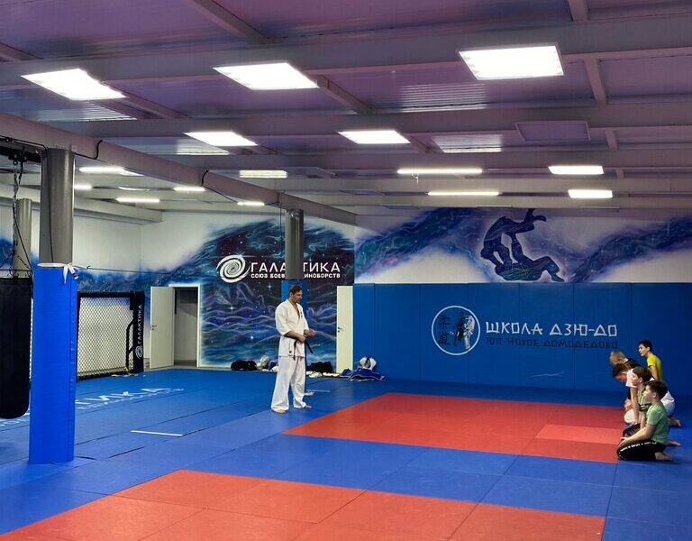 Союз единоборств Галактика