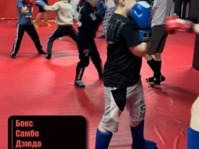 Клуб единоборств Гром