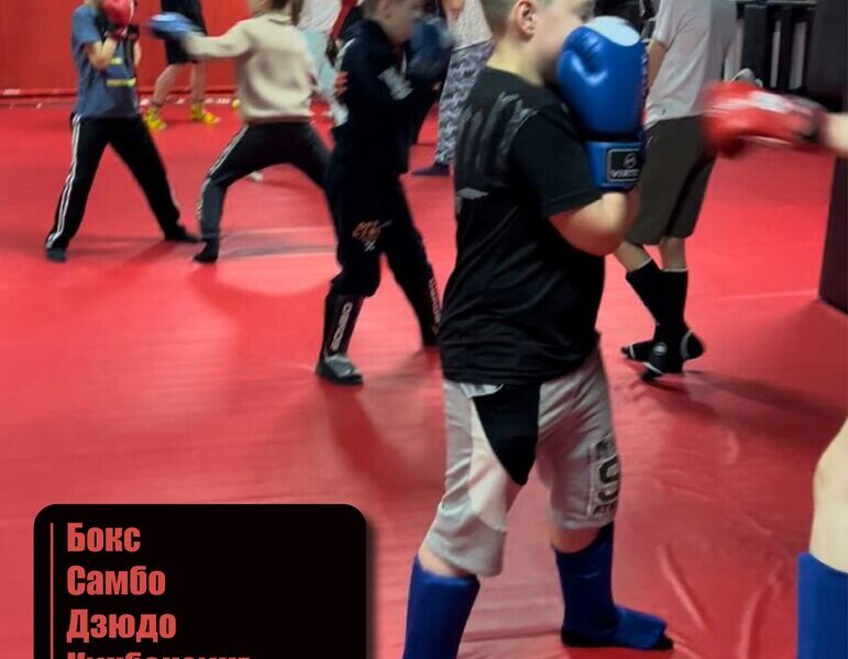 Клуб единоборств Гром