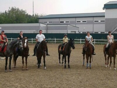 Конный прокат