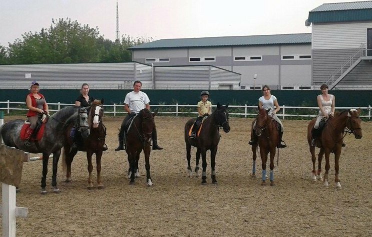 Конный прокат