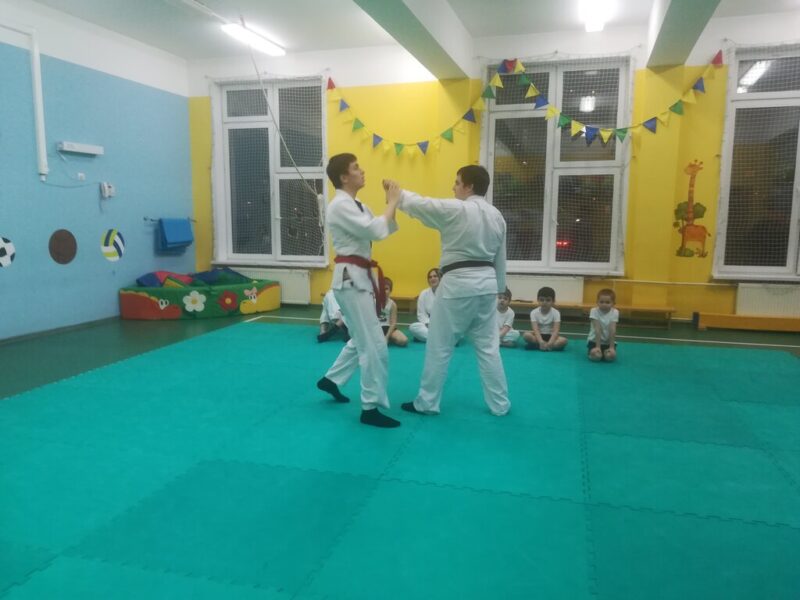 Клуб айкидо Сёрюкай