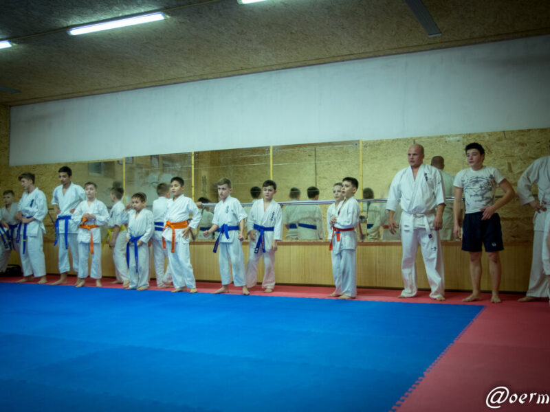 Карате Киокушинкай