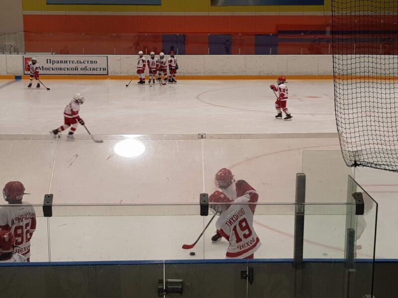 МБУ Спортивная школа Витязь имени В. И. Васильева