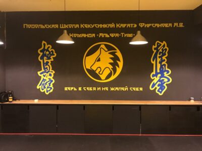 Альфа-Тим Каратэ