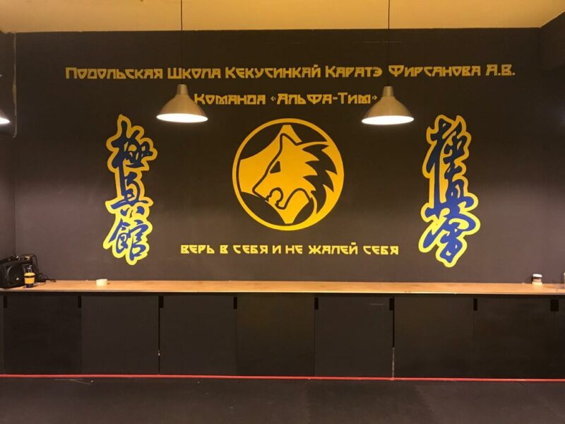 Альфа-Тим Каратэ