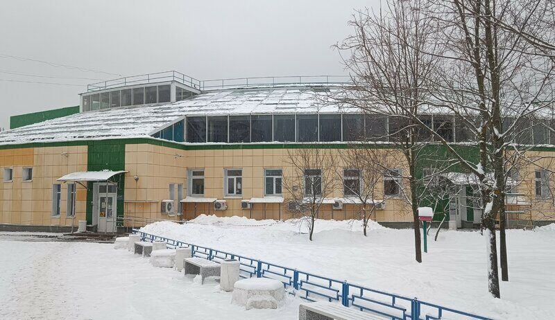 Быстрый Дельфин