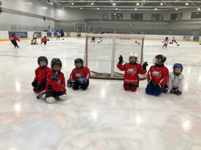 Хоккейный клуб Львы