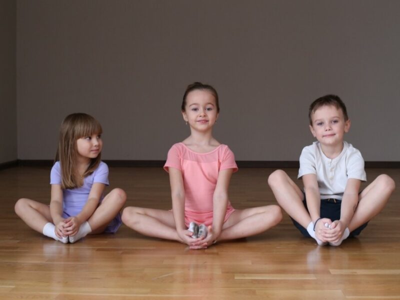 Ясная поляна