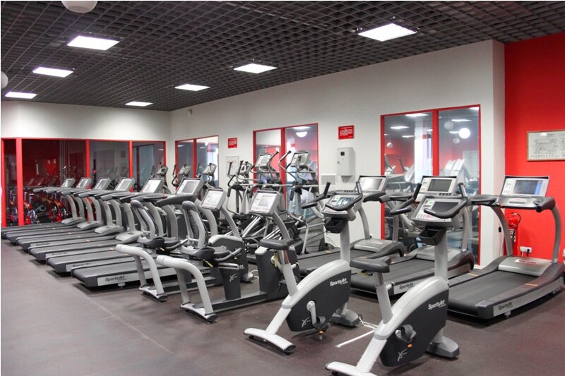 Fan Gym