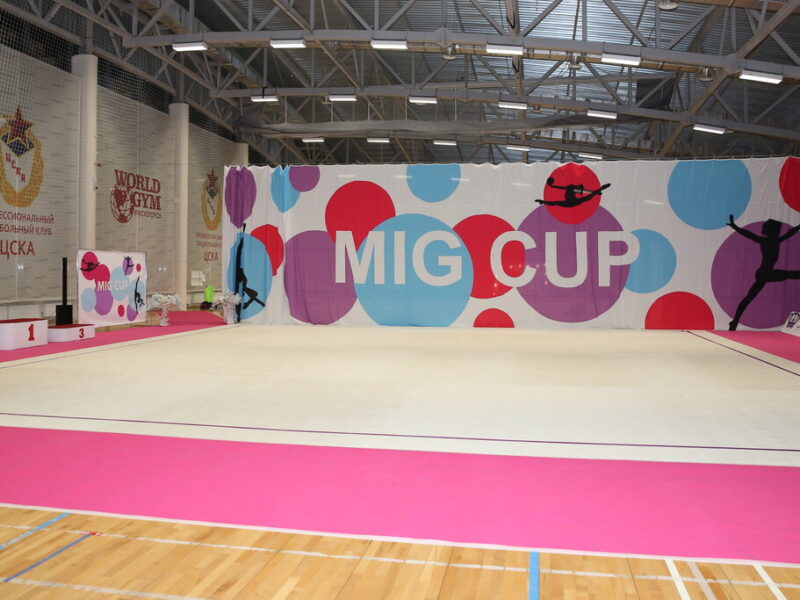 Центр художественной гимнастики Миг