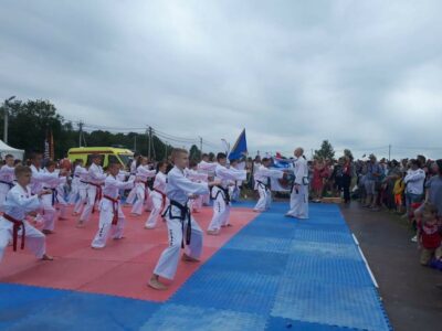 Тхэквондо Лидер