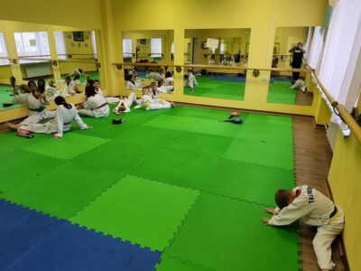 Пушкинская Федерация Олимпийского Тхэквондо