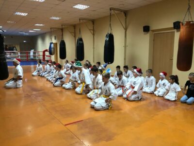 Альфа-Тим Каратэ