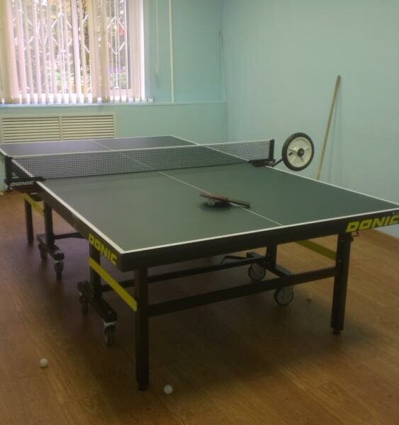 Мкус Фокси Одинец