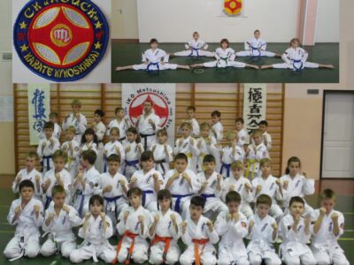 Карате Киокусинкай С/к Поиск