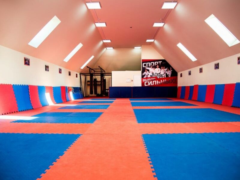 Школа боевых искусств Дмитрия Яковлева