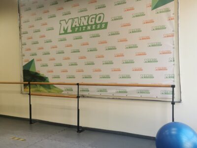 Художественная гимнастика и эстрадно-спортивные танцы Ardor