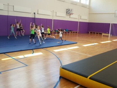 Федерация чирлидинга и чир спорта