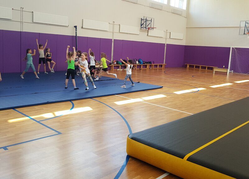 Федерация чирлидинга и чир спорта