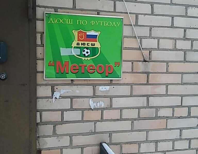 Физкультурно-спортивная общественная организация Московской области Развитие футбола