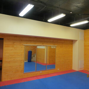 Айкистудия