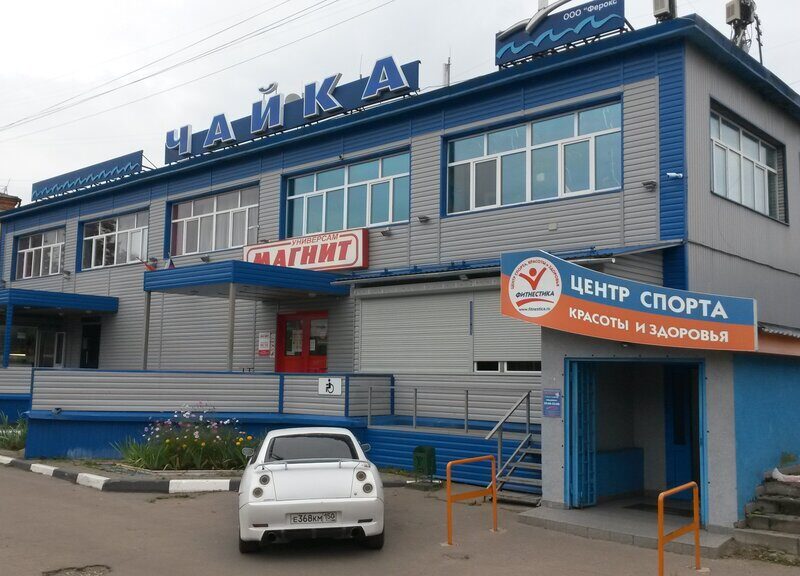 Фитнестика