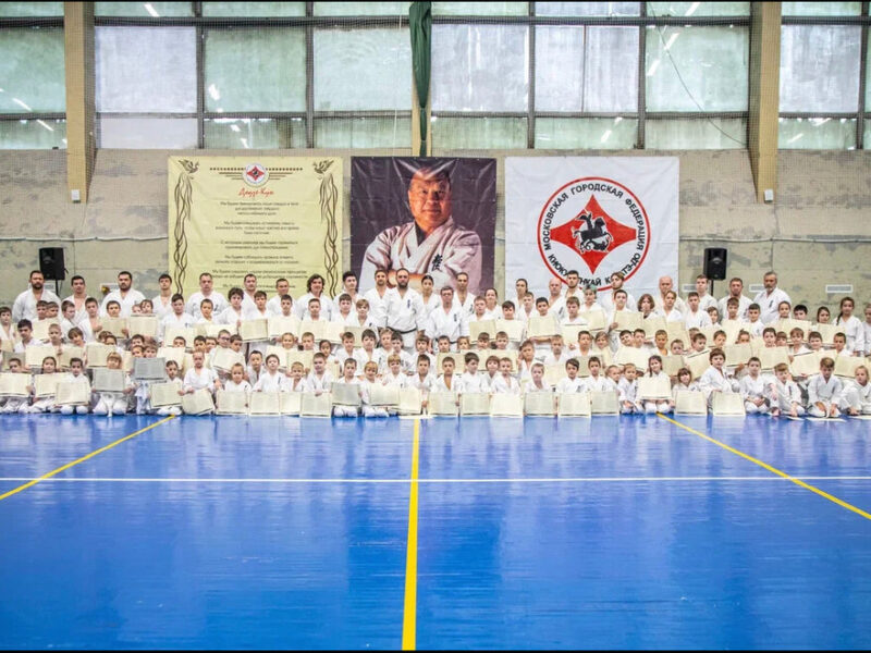 Каратэ Киокушинкай Доджо Мицудэн