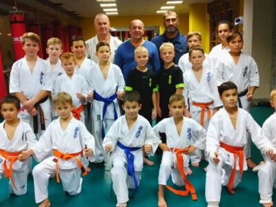 Киокушинкай каратэ