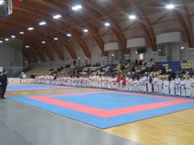 Школа Каратэ Тацудзин