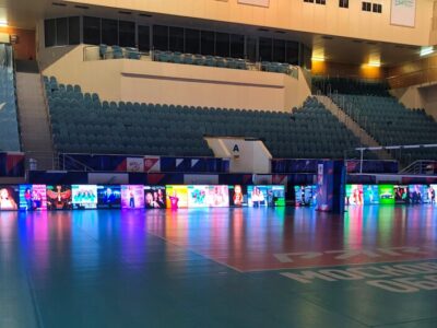 ГАУ МО центр спортивной подготовки по игровым видам спорта № 6