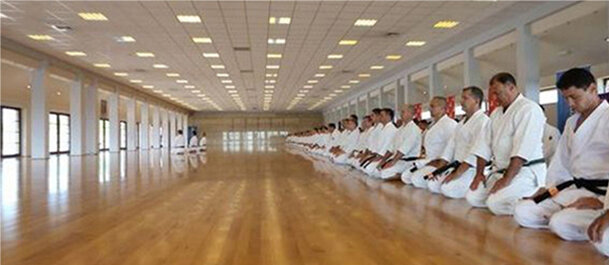 Объединенная федерация традиционного карате России