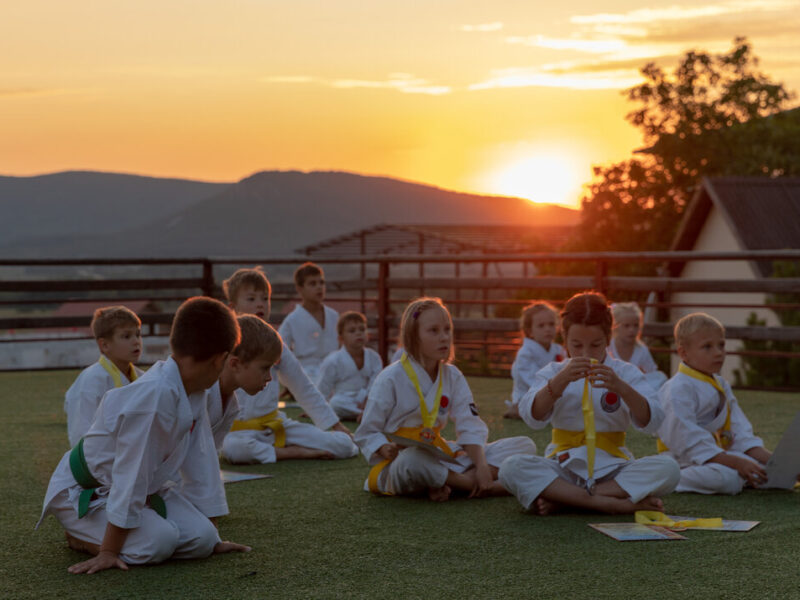Одинцовская школа традиционного карате Мечта