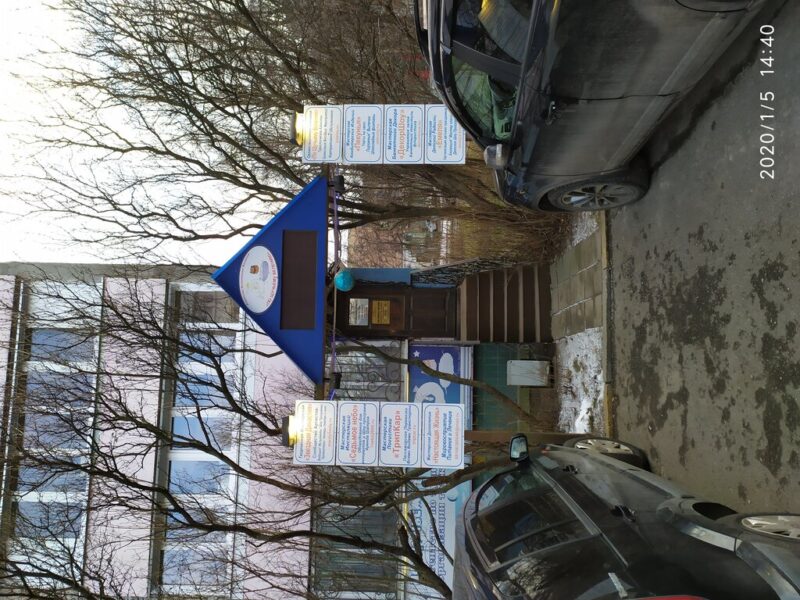 Звездная Династия