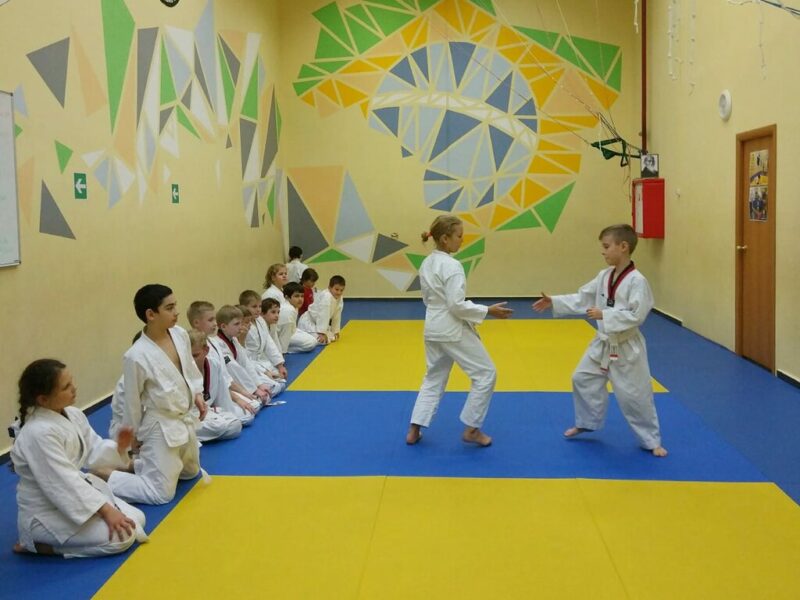 Айкидо клуб Family Dojo