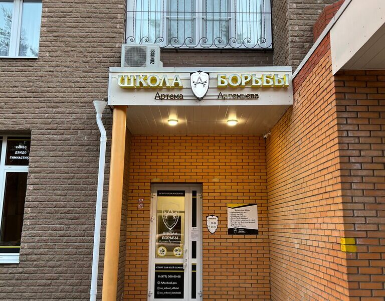 Школа Борьбы Артёма Артемьева
