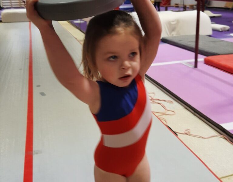 Сеть профессиональных гимнастических центров Мэднес