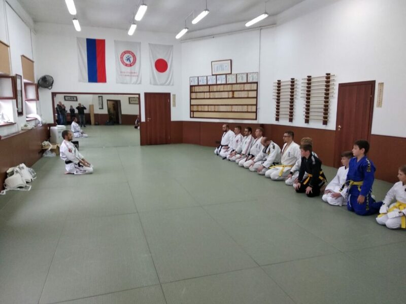 ФБДДМ Джиу-джитсу