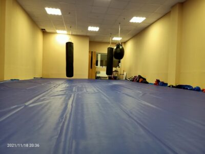 Многоборец