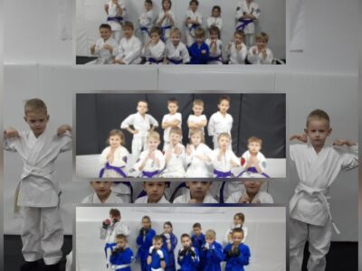 Клуб единоборств Две стихии