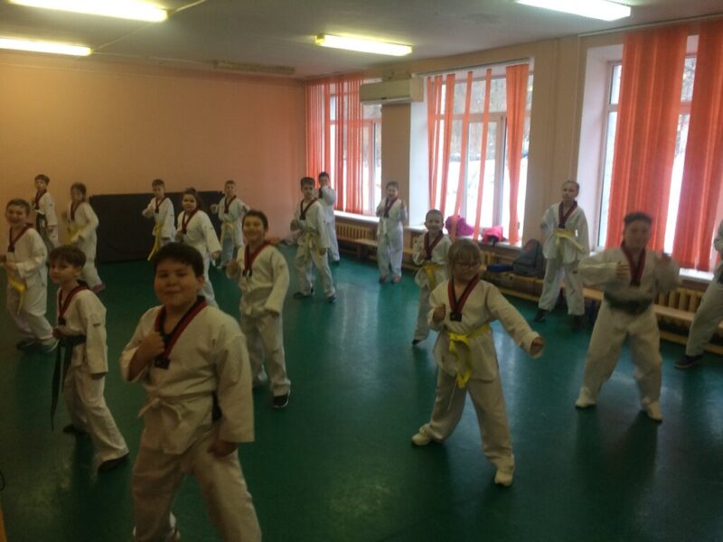 Тхэквондо Цспр, Спортивная секция, единоборства