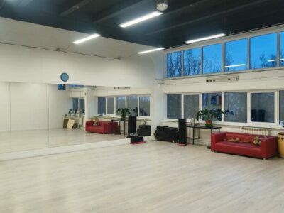 Айкидо Икиру