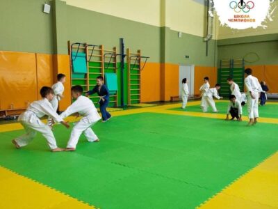 Дзюдо & Джиу-джитсу Единоборства