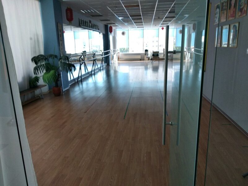 Федерация шаолиньских боевых искусств