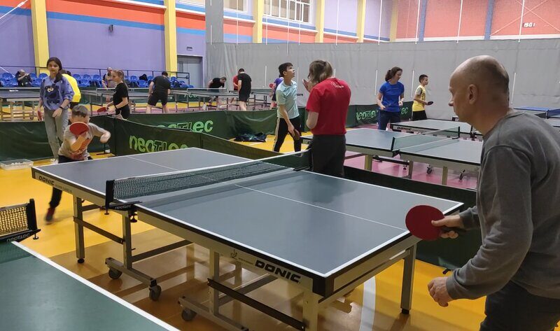 Настольный теннис