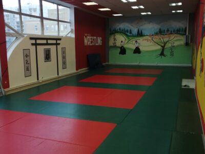 Школа единоборств и физического развития