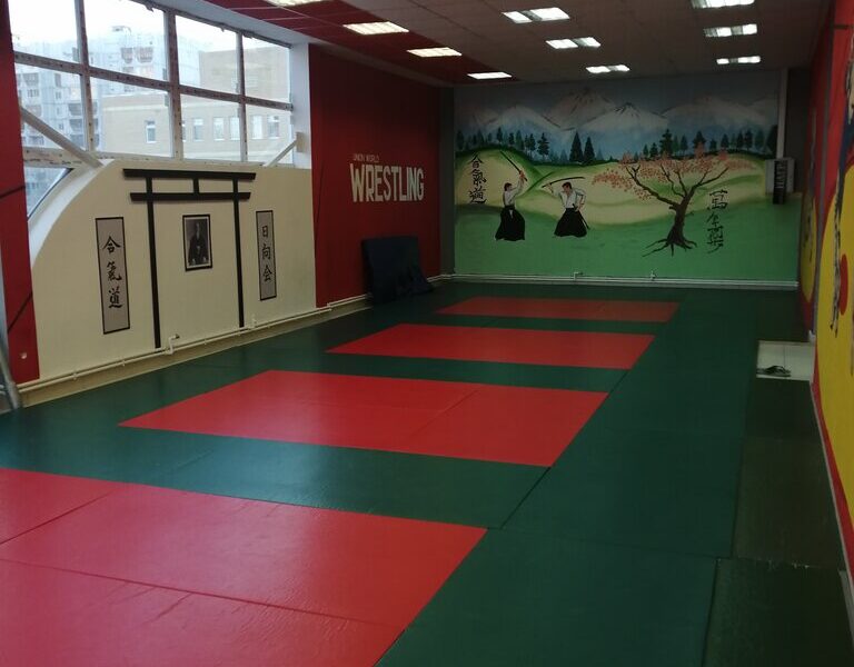 Школа единоборств и физического развития